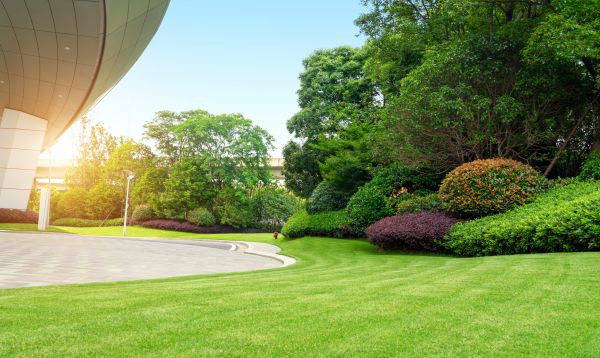 Commercial Shrub Trimming in Morgan Hill