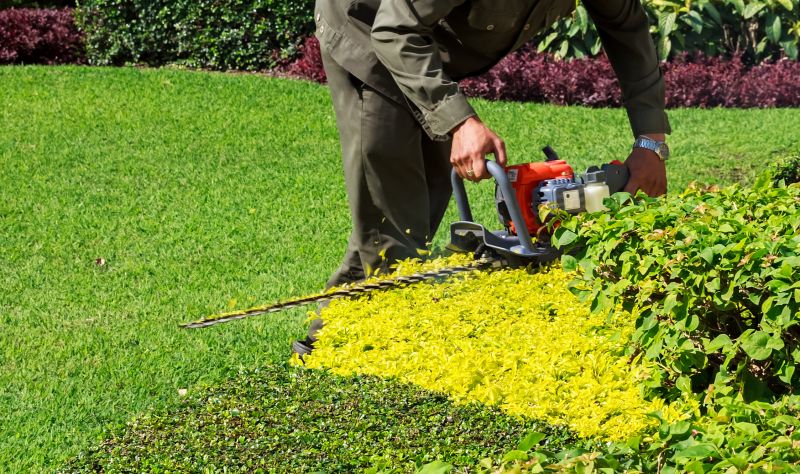 Landscaper Shaping Bushes